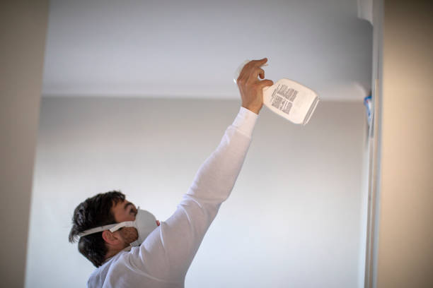 Best Water Damage Restoration  in Colusa, CA