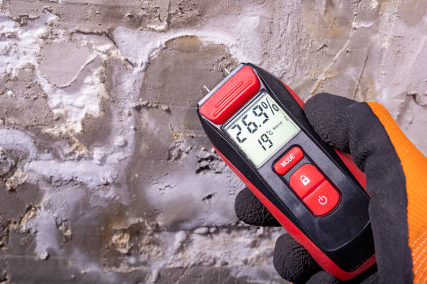Best Home Mold Removal  in Colusa, CA