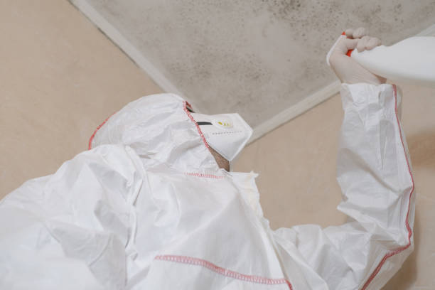 Best Crawl Space Mold Removal  in Colusa, CA
