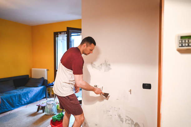 Best Office Mold Removal Services  in Colusa, CA